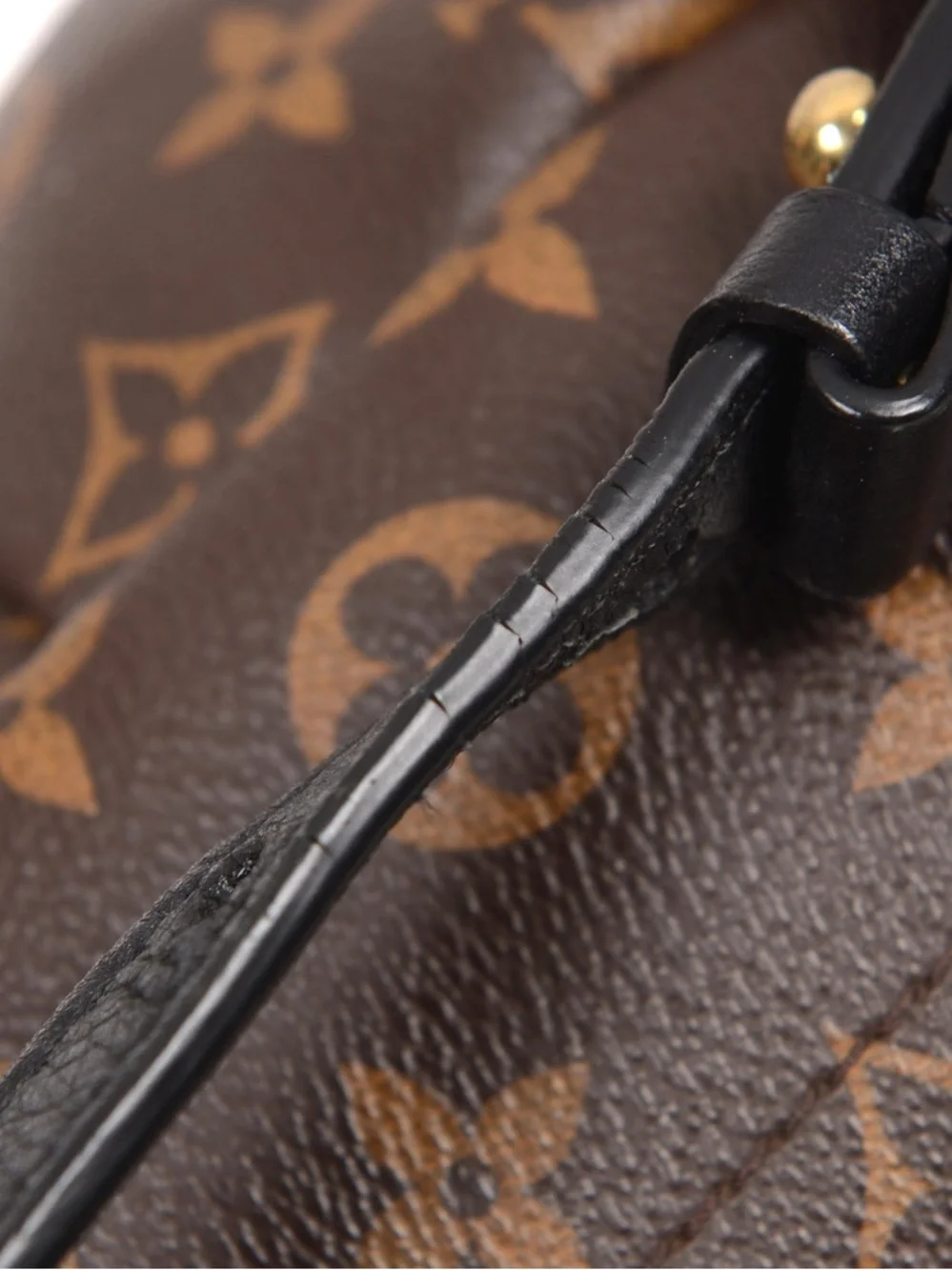 ♥️Louis Vuitton Palm Springs Small Monogram Canvas Backpack♥️